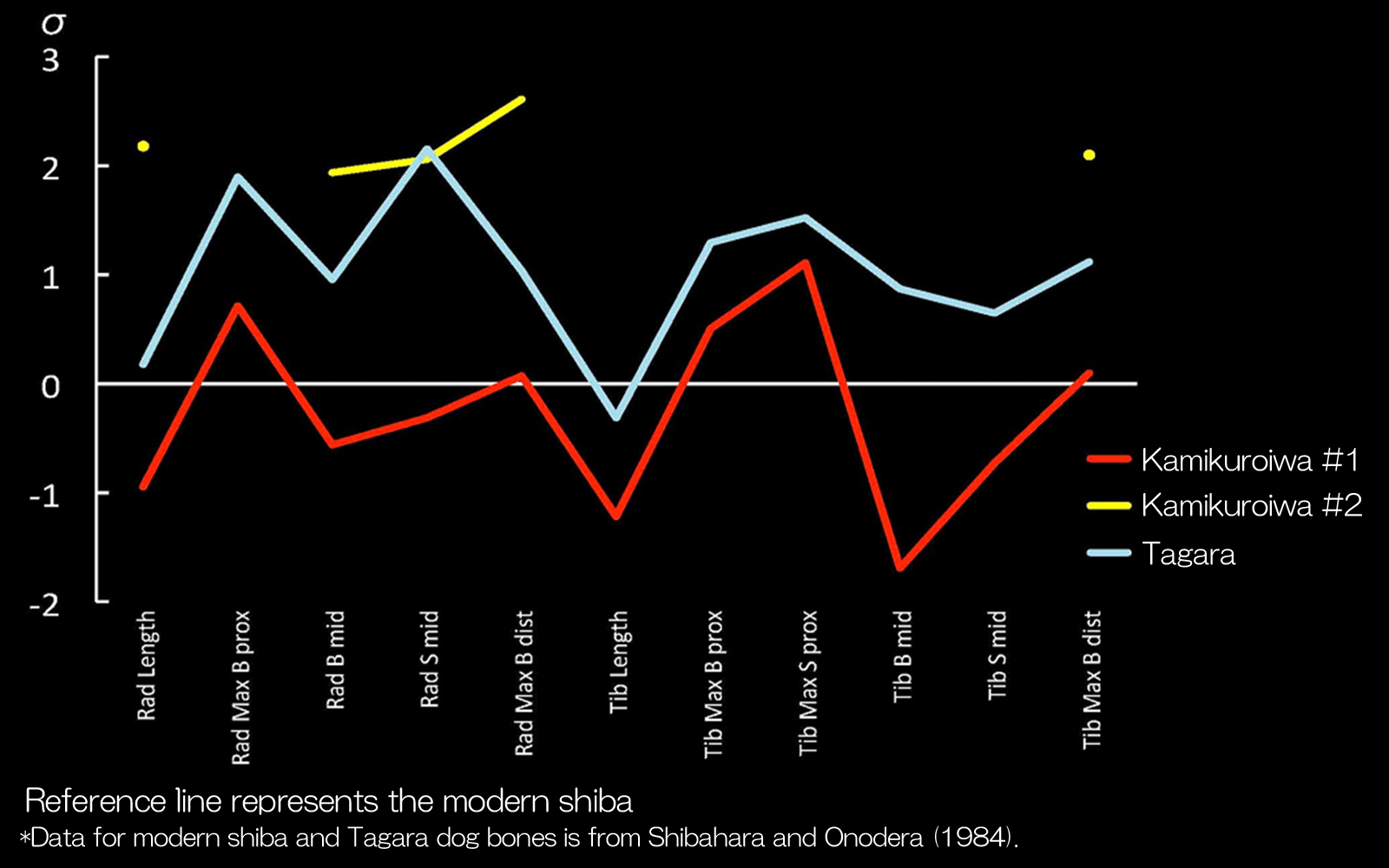 Deviation line graph of radius and tibia measurements(11 categories)